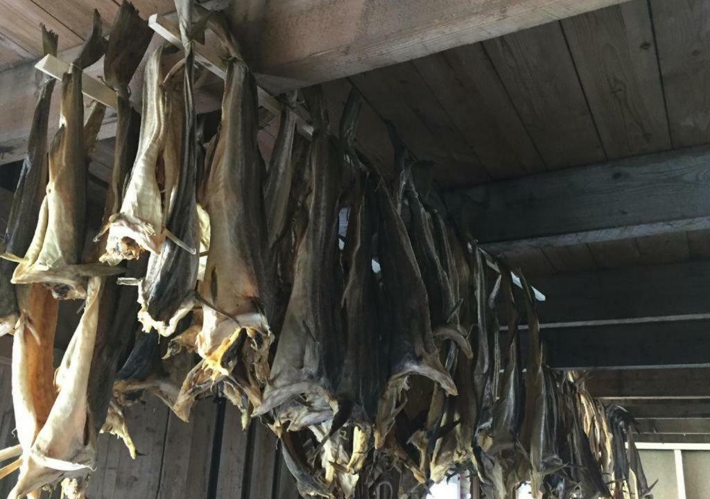 Nyksundrom, Nyksund Ξενοδοχείο Εξωτερικό φωτογραφία